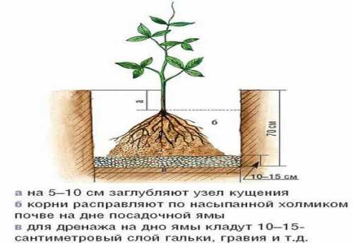 трюк для выполнения не очень приятных дел