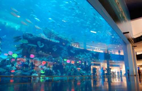 океанариум sea life bangkok ocean world в бангкоке